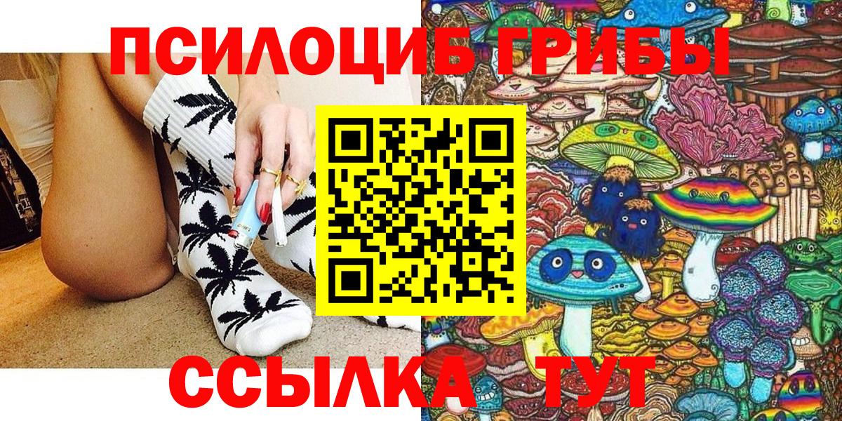 закладка  Псилоцибиновые грибы MAGIC MUSHROOMS  Вход с VPN  Шатура 
