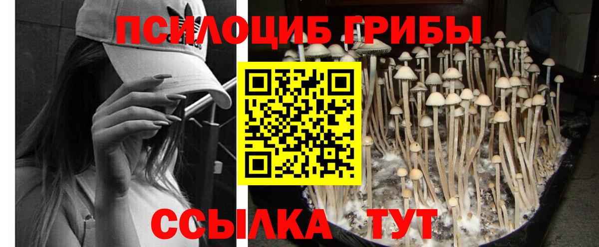 Галлюциногенные грибы GOLDEN TEACHER Шатура